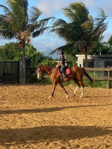 565dbd58-721f-4abe-85bd-309e1aadd8db