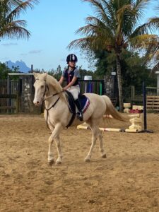 9b91d291-8d3f-44cd-962e-1e923538bd51